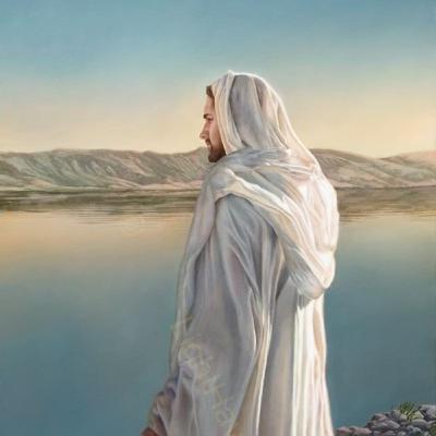 Almas Divinas grupo de sanación Almas Divinas grupo de sanación