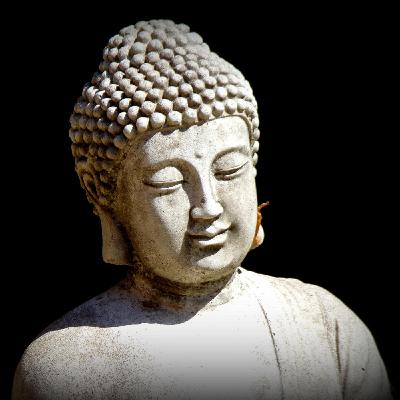 295 - The Power of Equanimity