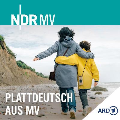 De Plappermoehl ut Loitz