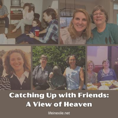 Catching Up with Friends: A View of Heaven