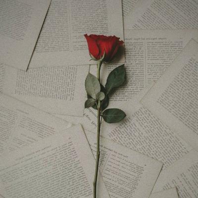 Allah Maha Baik🌹
