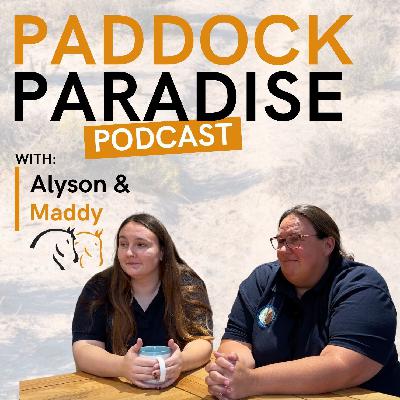 Episode 4: Alyson & Maddy from PB Paddock Paradise Track livery in Newport Episode 4: Alyson & Maddy from PB Paddock Paradise Track livery in Newport
