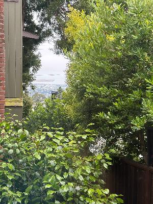 Honor How Far You’ve Come