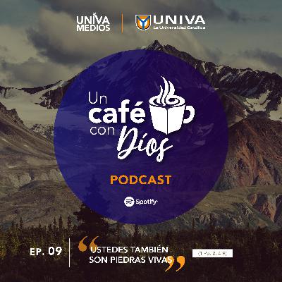 Ustedes también son piedras vivas (1Pe. 2, 4-9)