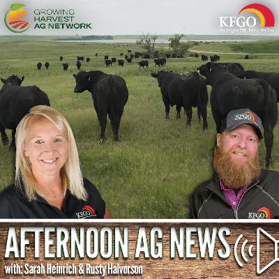 Afternoon Ag New, January 7, 2026: A recap of the issues impacting the cattle industry in 2025