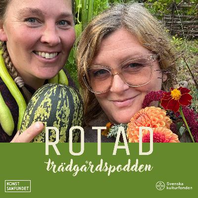 Prakt, prestation och prövningar från odlarsommaren 2025