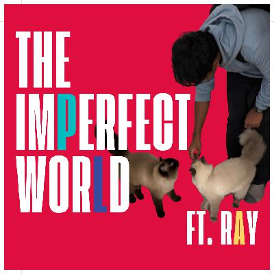 The Imperfect World ft. Ray