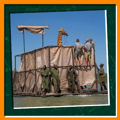 Replay: A Daring Gi-Raft Rescue