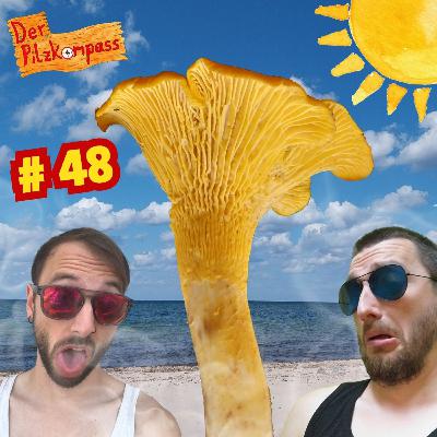 48 Pilze trotz Hitze?!🍄‍🟫DAS gibt der Sommer her!☀️