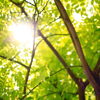 中学３年の不登校な息子について