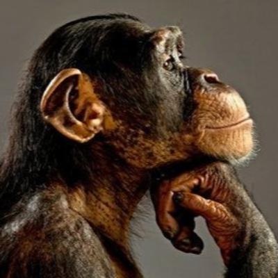 Episódio 2. Trabalho e direito a vida. Episódio 2. Trabalho e direito a vida.