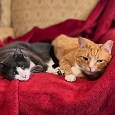 Episode 3017 CWSA 11/13/25