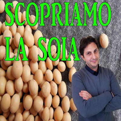 Episodio 100 - INTRODUZIONE ALLA SOIA - Un legume dalle mille proprietà' Episodio 100 - INTRODUZIONE ALLA SOIA - Un legume dalle mille proprietà'