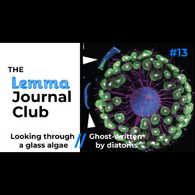 Looking through a glass algae // Ghost-written by diatoms [13]