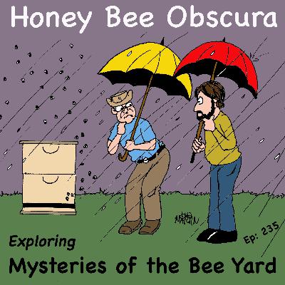 Exploring Mysteries of the Bee Yard (235)