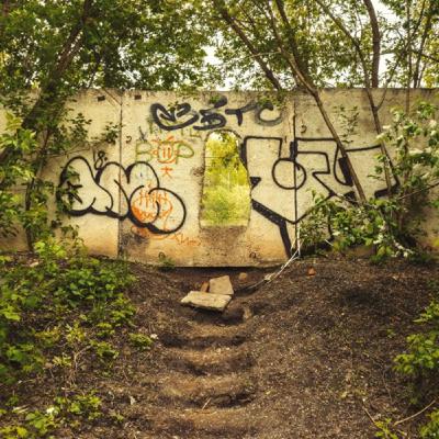 Basswald #18: Stalker Basswald #18: Stalker