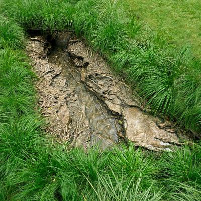 Brooke Kamin Rapaport of Madison Square Park On Cristina Iglesias’s New Sculpture, "Landscape and Memory" Brooke Kamin Rapaport of Madison Square Park On Cristina Iglesias’s New Sculpture, "Landscape and Memory"