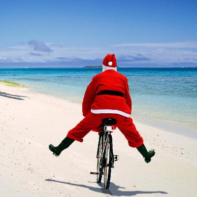 Der Baum, er schweigt