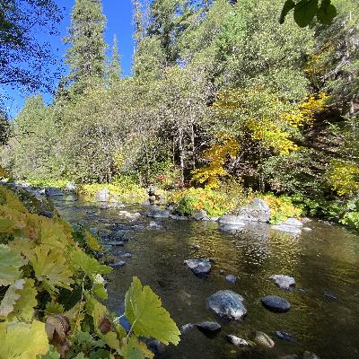 179: Autumn Afternoon Beside the North Fork of the Salmon River 179: Autumn Afternoon Beside the North Fork of the Salmon River