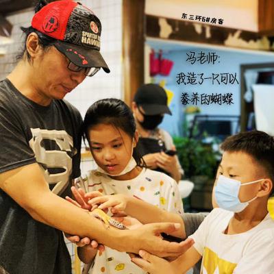 Episode 6: 冯老师:我造了一只可以豢养的蝴蝶 Episode 6: 冯老师:我造了一只可以豢养的蝴蝶