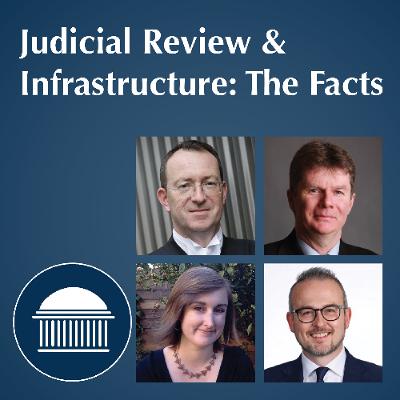 Judicial Review & Infrastructure Delivery - The Facts