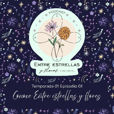 Episodio Piloto- Conoce Entre estrellas y flores