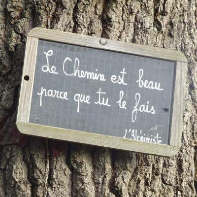 #11 C'est quoi le plus beau Chemin ?