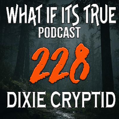 Archive 228 Ghosts and Bigfoot Archive 228 Ghosts and Bigfoot