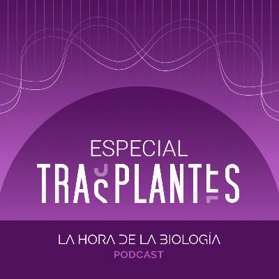 Especial Trasplantes. Trasplante de hígado