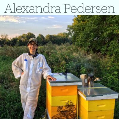 What's all the Buzz about Bees and Sanctions? What's all the Buzz about Bees and Sanctions?