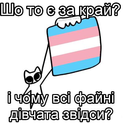 23. Як транс жінки займаються сексом
