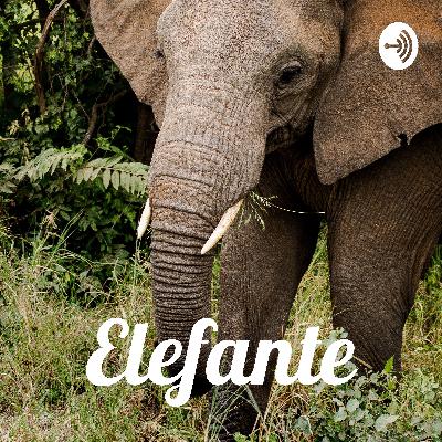 Corrente de história