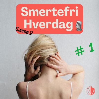 Afsnit 16 - Smerter som diagnose Afsnit 16 - Smerter som diagnose
