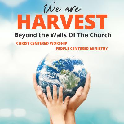 The Prodigal Son Ministries - T. Stacy Hayes The Prodigal Son Ministries - T. Stacy Hayes