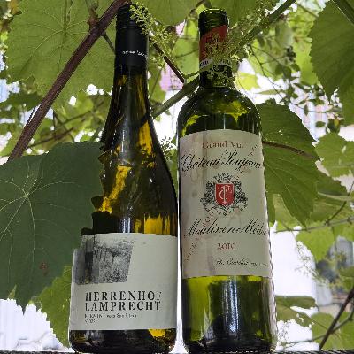 Blindflug 165: Terroir ist lame