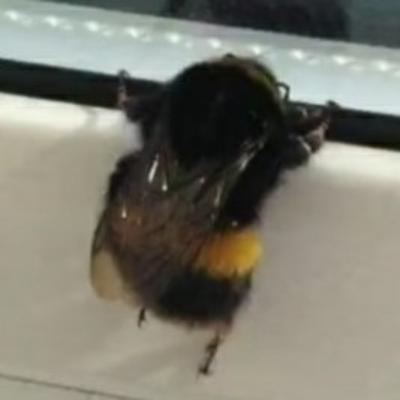 Mythology and myth corner #1