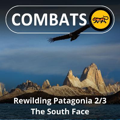 S05E13 Rewilding Patagonia 2/3 : La méthode Doug Thompkins, créateur de North Face