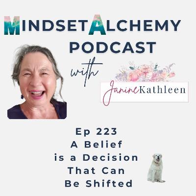 Episode 223 - A Belief is a Decision that Can Be Revisited and Shifted