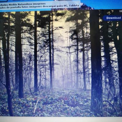 Los límites tenebrosos