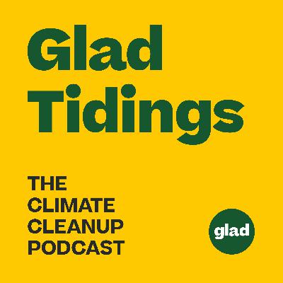Glad Tidings #17 - What is biochar – and why do people call it “black gold”?