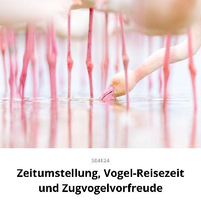 Zeitumstellung, Vogel-Reisezeit und Zugvogelvorfreude Zeitumstellung, Vogel-Reisezeit und Zugvogelvorfreude