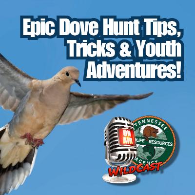TW 443 - Epic Dove Hunt Tips, Tricks & Youth Adventures! TW 443 - Epic Dove Hunt Tips, Tricks & Youth Adventures!