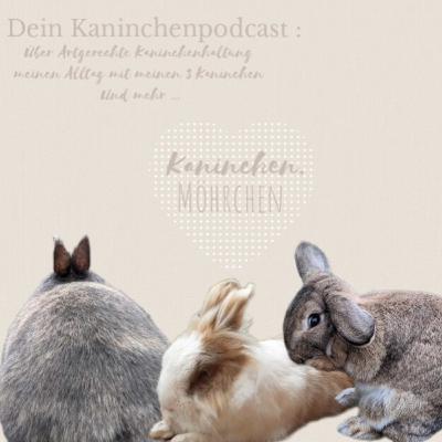 Wichtige Infos (Maya war krank?!)