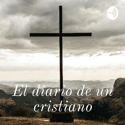 ¿De qué se trata EL DIARIO DE UN CRISTIANO?