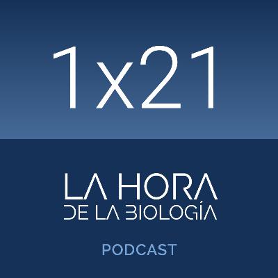 1x21: Lisosomas, los orgánulos olvidados. Parte 1
