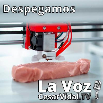 Despegamos: Pelea en el barro de Moncloa, deuda oculta de 35.000 millones y la carne ‘fake’ llega a España - Despegamos: Pelea en el barro de Moncloa, deuda oculta de 35.000 millones y la carne ‘fake’ llega a España -