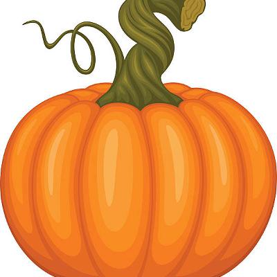 Why you Should NOT cut the Stem off Your Pumpkin Why you Should NOT cut the Stem off Your Pumpkin