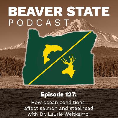 Beaver State Podcast: How ocean conditions affect salmon and steelhead with Dr. Laurie Weitkamp