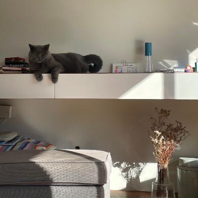 暗くて寒いベルリン 🍵 不見天 w/ ゆいさん（NIMO）