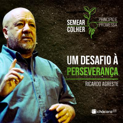 Chácara Primavera │ Semear-Colher: Um Desafio à Perseverança